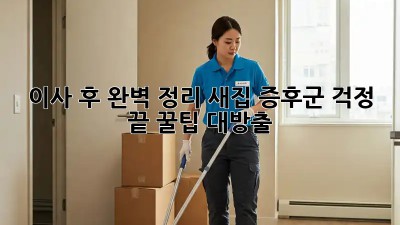 이사 후 완벽 정리, 새집 증후군 걱정 끝! 꿀팁 대방출 ✨